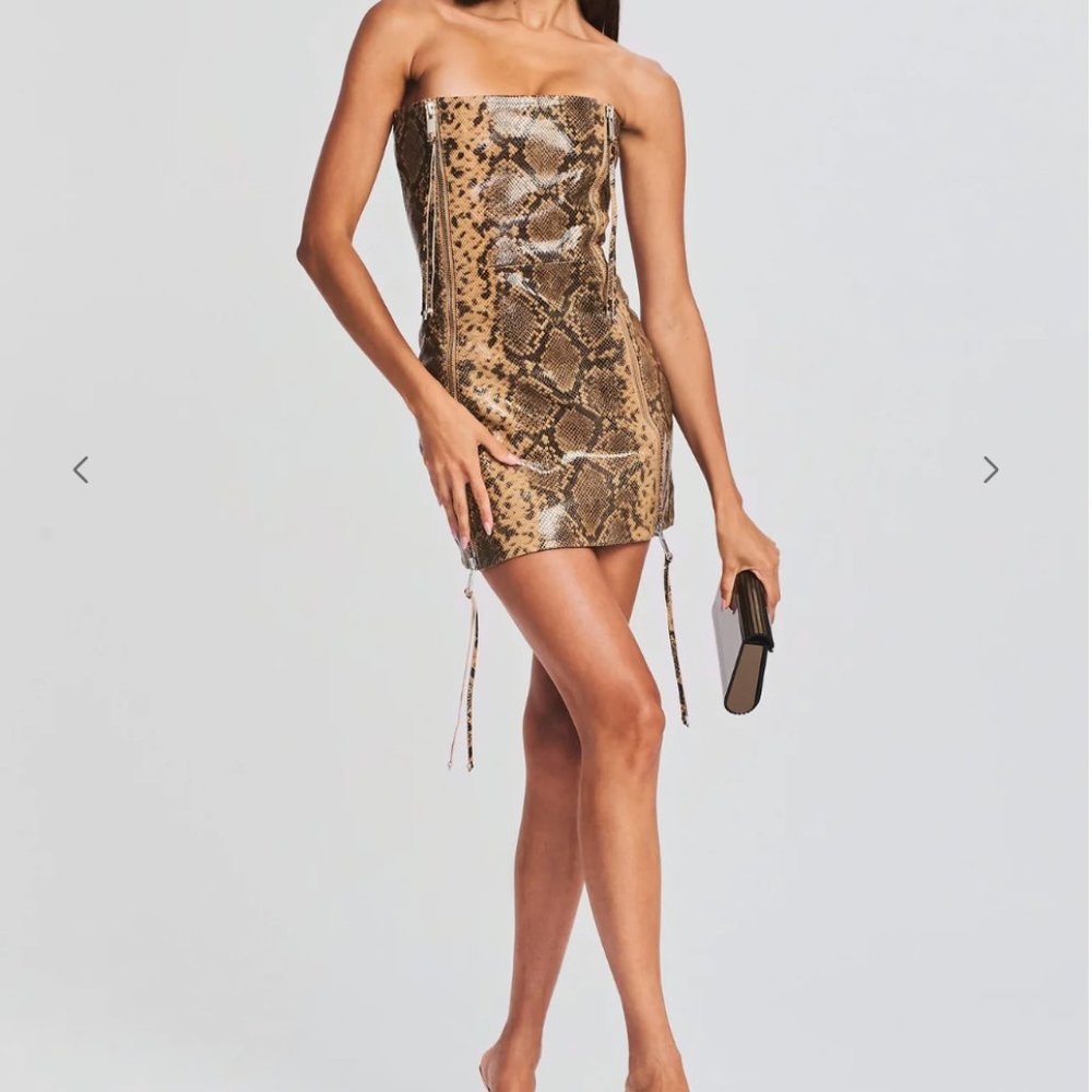 Retrofete Beatrice Leather Dress